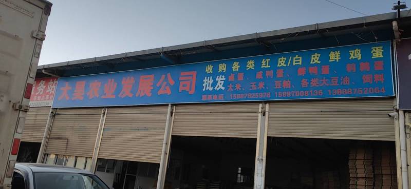 鸡蛋