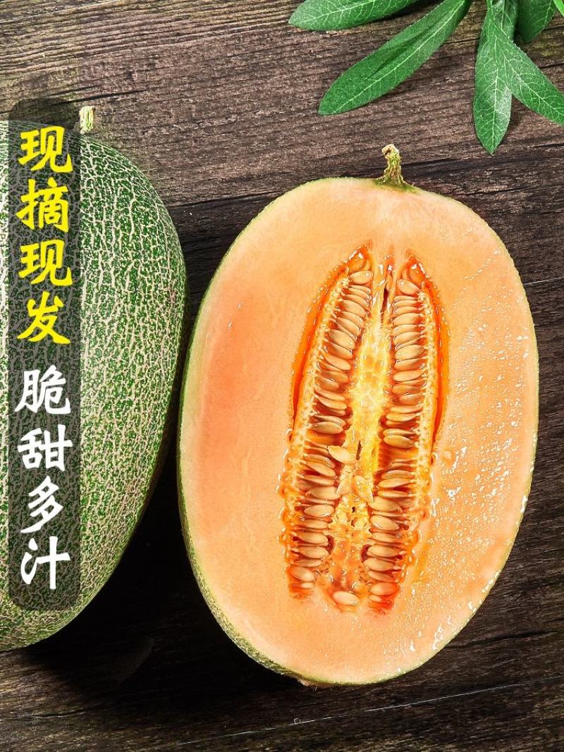 【直发】海南哈密瓜产地直供甜度高全国代发欢迎来电咨询