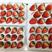 99红颜草莓，稳定供应，可供应到明年五月份，欢迎下单洽谈