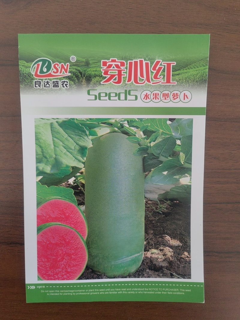 新品种青皮红芯水果萝卜种子口感甜脆抗病高产