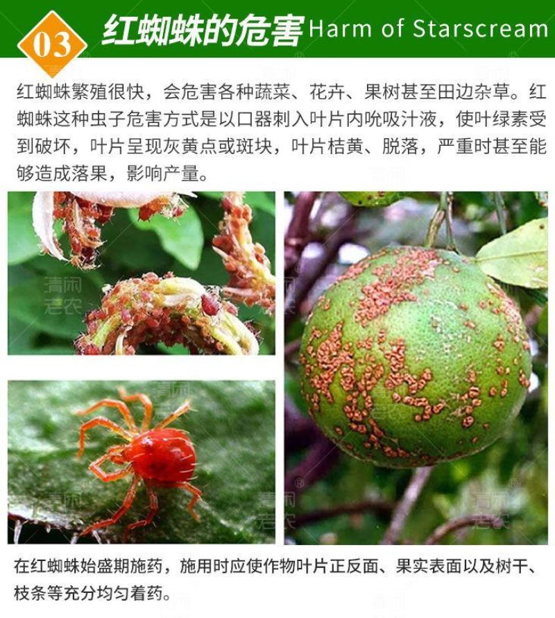 36%哒螨灵螺螨酯柑橘果树红蜘杀螨剂农药正品包邮