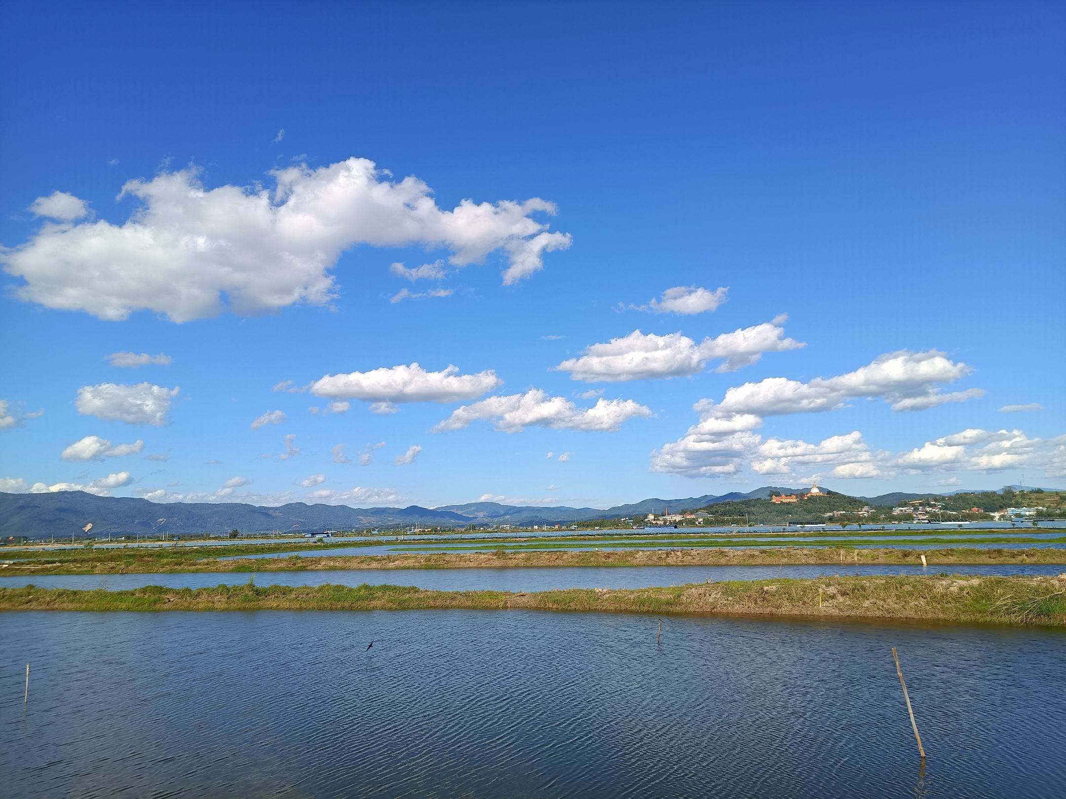 小龙虾养殖池全景