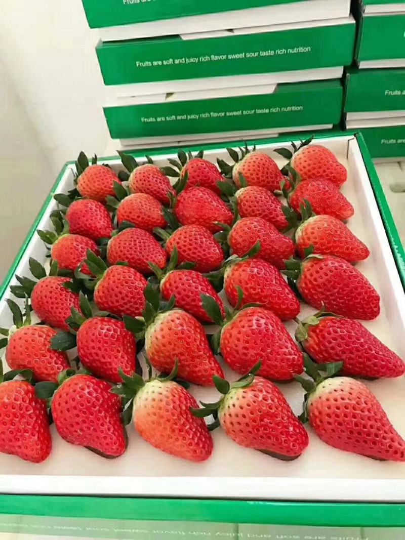 精品草莓甜宝，天使8号，香野，产地直供，没有中间商！！！