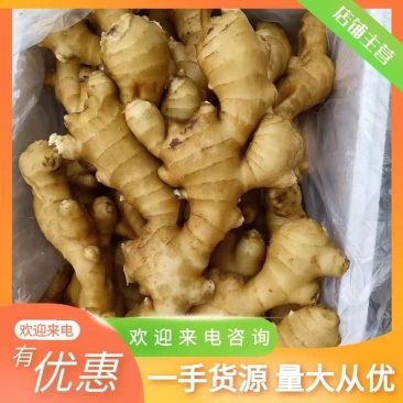 窖藏老姜【电商货/水洗姜/风干姜/沙土姜】全国物流发货