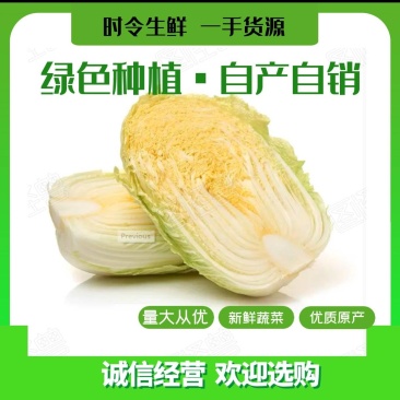 精品云南黄心大白菜大量现货质量优等欢迎抢购