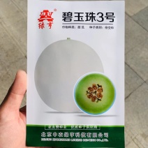 高品质玉姑甜瓜种子特甜沙糯爽甜糖度高，碧玉珠3号玉菇甜瓜