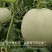 高品质玉姑甜瓜种子特甜沙糯爽甜糖度高，碧玉珠3号玉菇甜瓜
