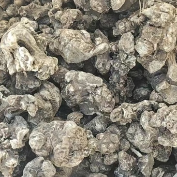 白茬苍术统实力代办价格电议多规格可选需要的老板欢迎联系