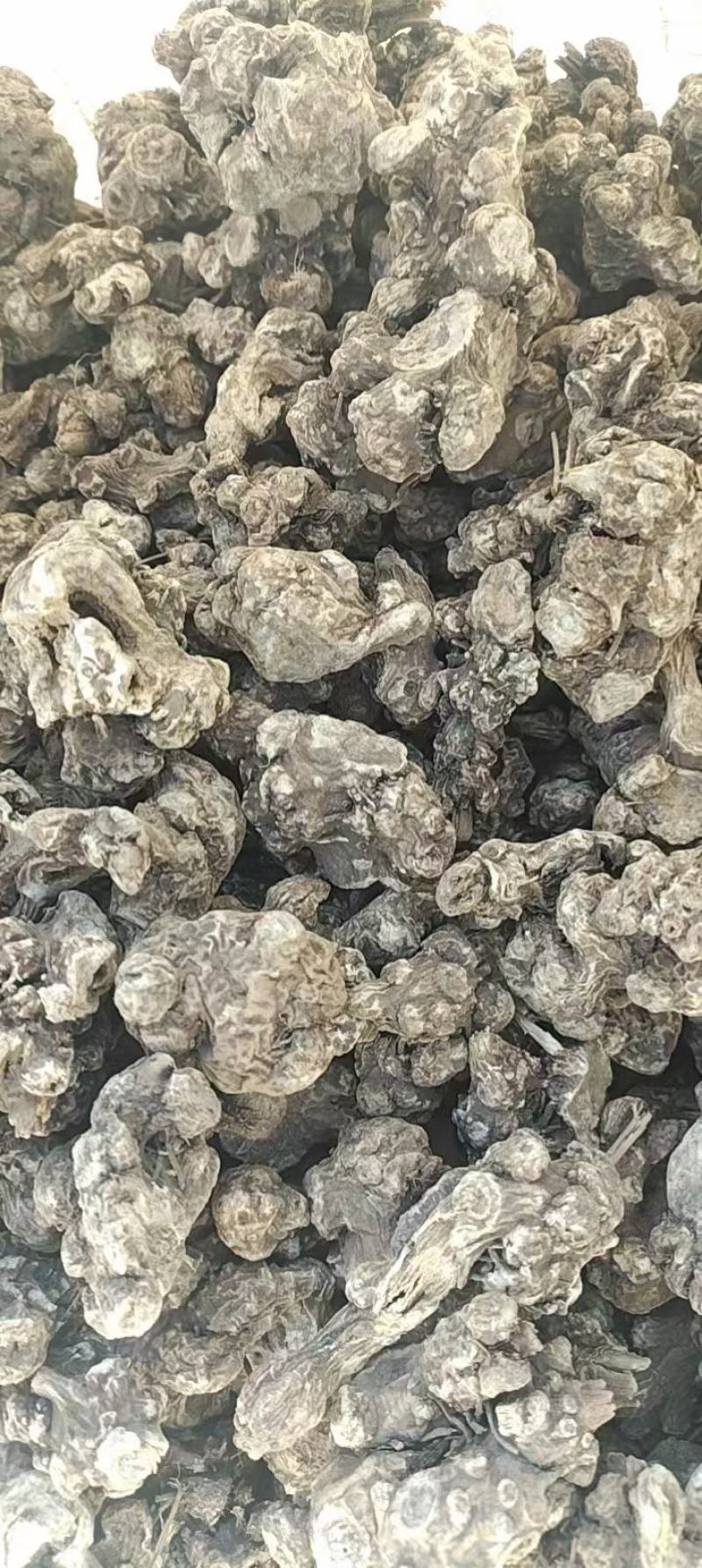 白茬苍术统实力代办价格电议多规格可选需要的老板欢迎联系