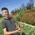 地柏铺地柏苗圃直供品优价廉发货保障欢迎来
