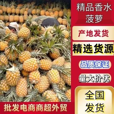 云南河口香水菠萝丶红河屏边菠萝丶新鲜产地直供