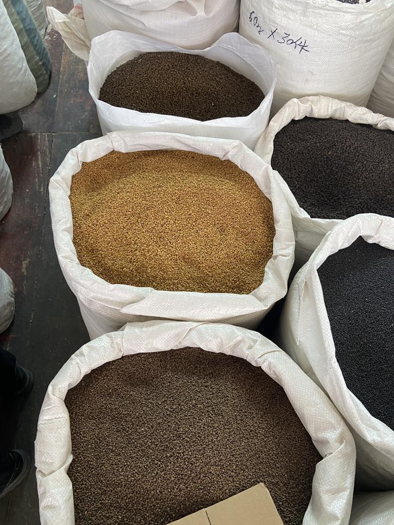 葫芦巴籽中药材新货干净无杂质葫芦巴籽中药材
