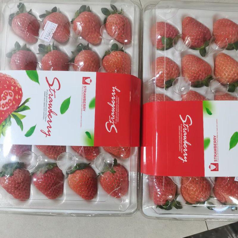 奶油草莓妙香，每天不限量供应，规格齐全