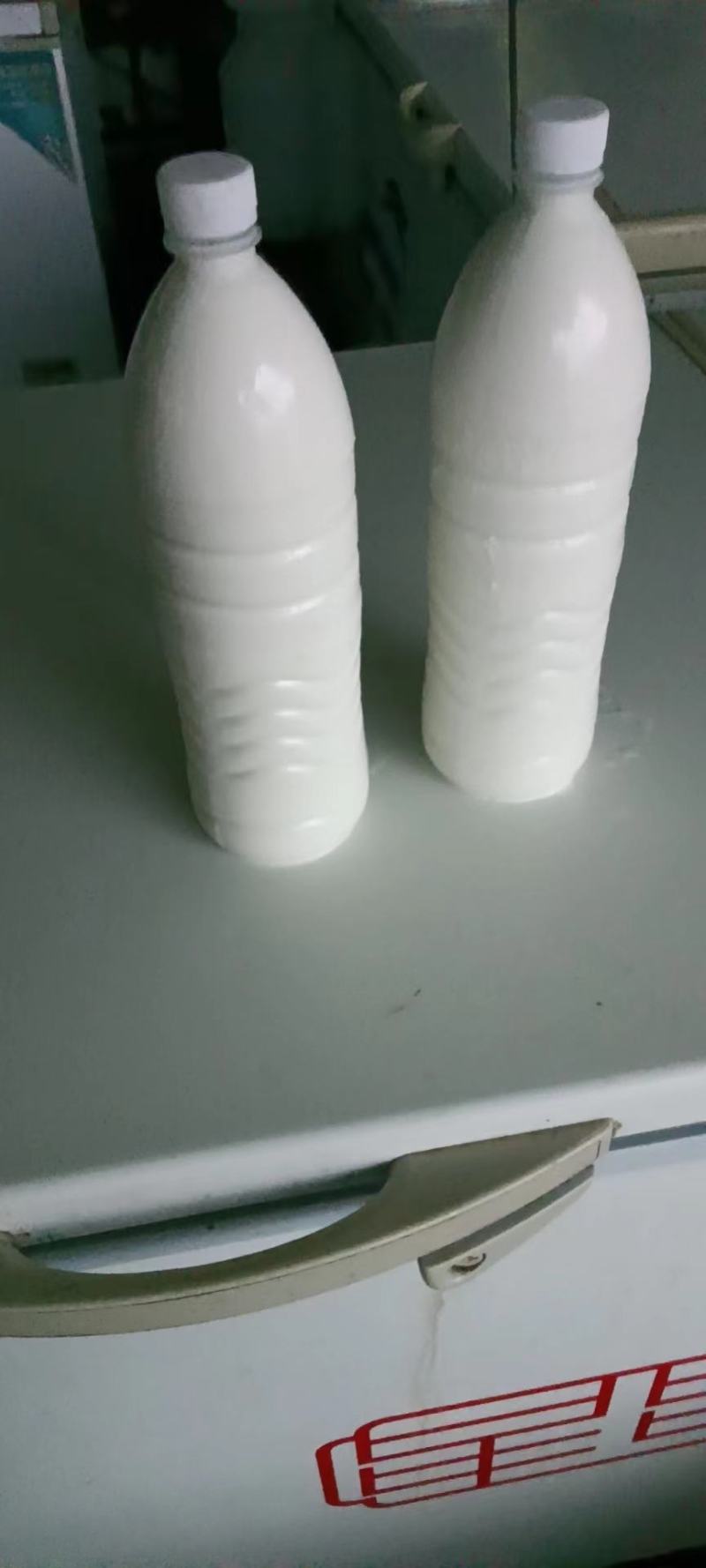 【牛商店铺】广东佛山三水区水牛奶乳扇大量供应