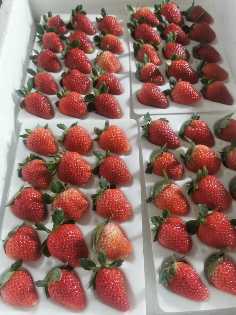 奶油草莓妙香，每天不限量供应，规格齐全