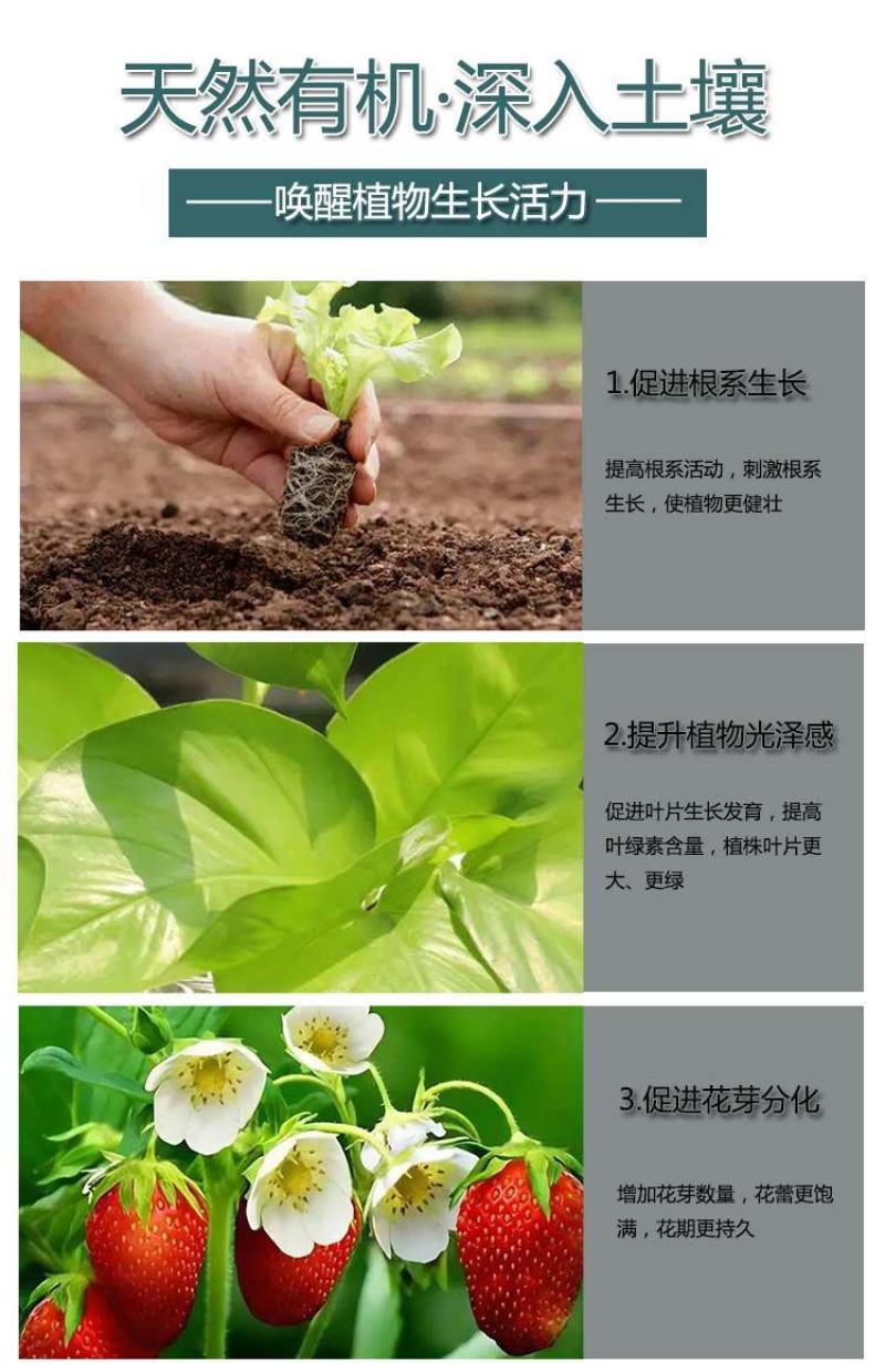 青海发酵羊粪厂家批发果洛纯羊粪有机肥海东高温腐熟羊粪