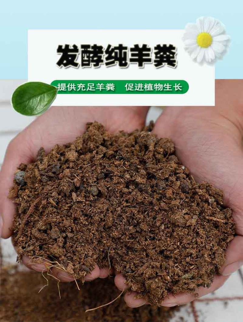 甘肃发酵羊粪厂家白银羊粪有机肥批发陇南高温腐熟羊粪