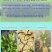 甘肃发酵羊粪厂家白银羊粪有机肥批发陇南高温腐熟羊粪