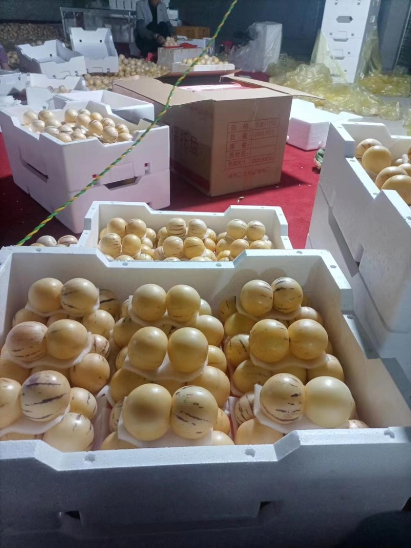 精品人参果产地发货货源充足品质好价格低欢迎选购