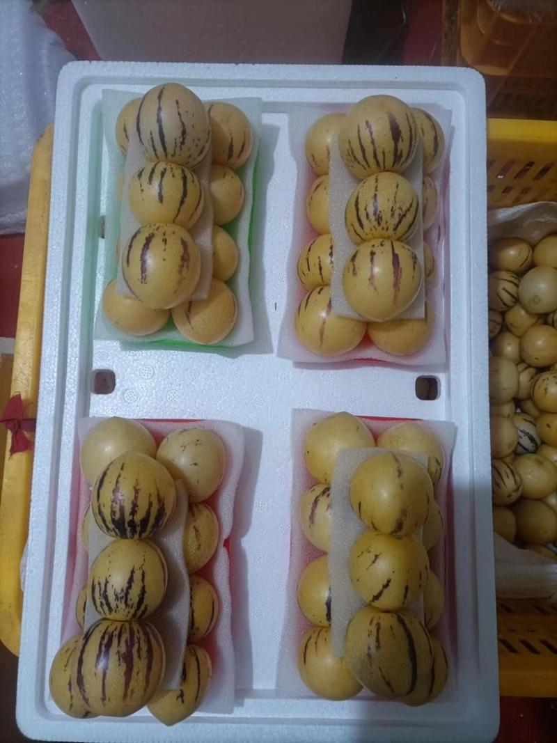 精品人参果产地发货货源充足品质好价格低欢迎选购