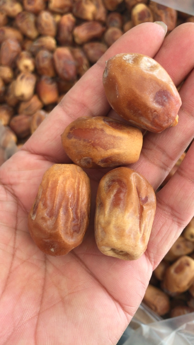 椰枣进口黄椰枣伊拉克椰枣整箱批发一手货源量大优惠