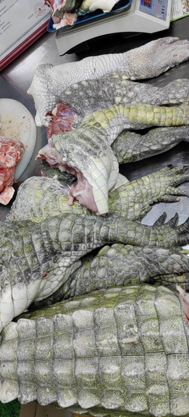 鳄鱼肉