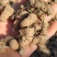 拳参（草血竭）云南深深老箐里挖出来的