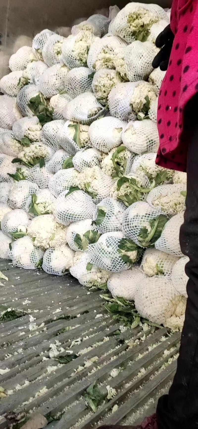品质有机花冷库花菜产地直发品质保证欢迎咨询