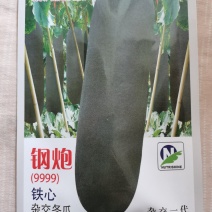 铁心黑皮冬瓜种子