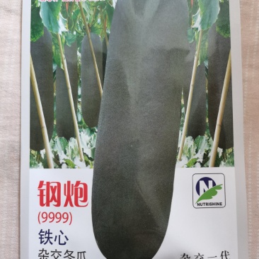 铁心黑皮冬瓜种子