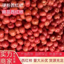 山东西红柿硬粉大量供应产地批发货源充足代发全国