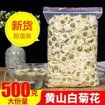 2022新花上市菊花茶500g黄山贡菊泡茶特花级白菊花胎
