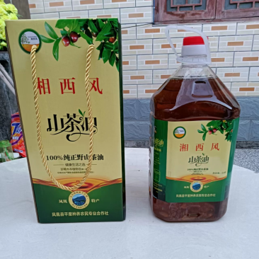 大山里的野生山茶油