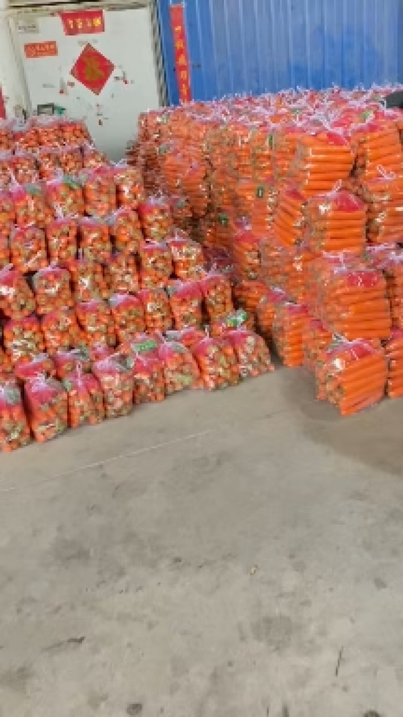 胡萝卜产地一手货源，货源充足，价格美丽，全国各地都可发货