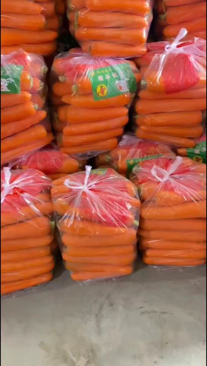 胡萝卜产地一手货源，货源充足，价格美丽，全国各地都可发货