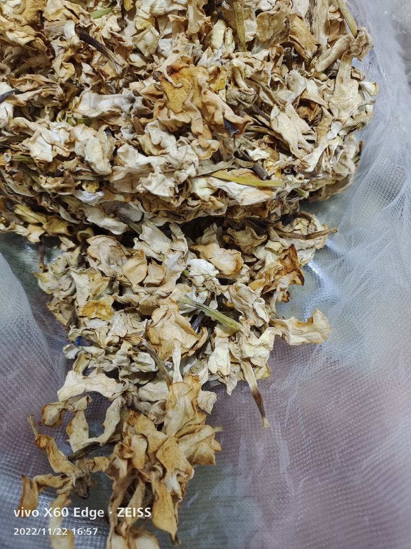栀子花干