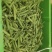 【精选】云南优质长寿仁豌豆，产地直发，一手货源，可视频看货