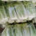 北京三号白菜2~3斤大量上市,欢迎询价
