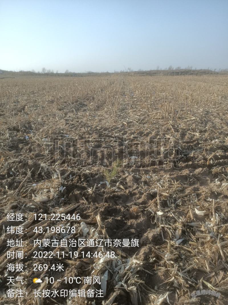 平整完沙地800亩;未平整完沙地800亩。对外承租。