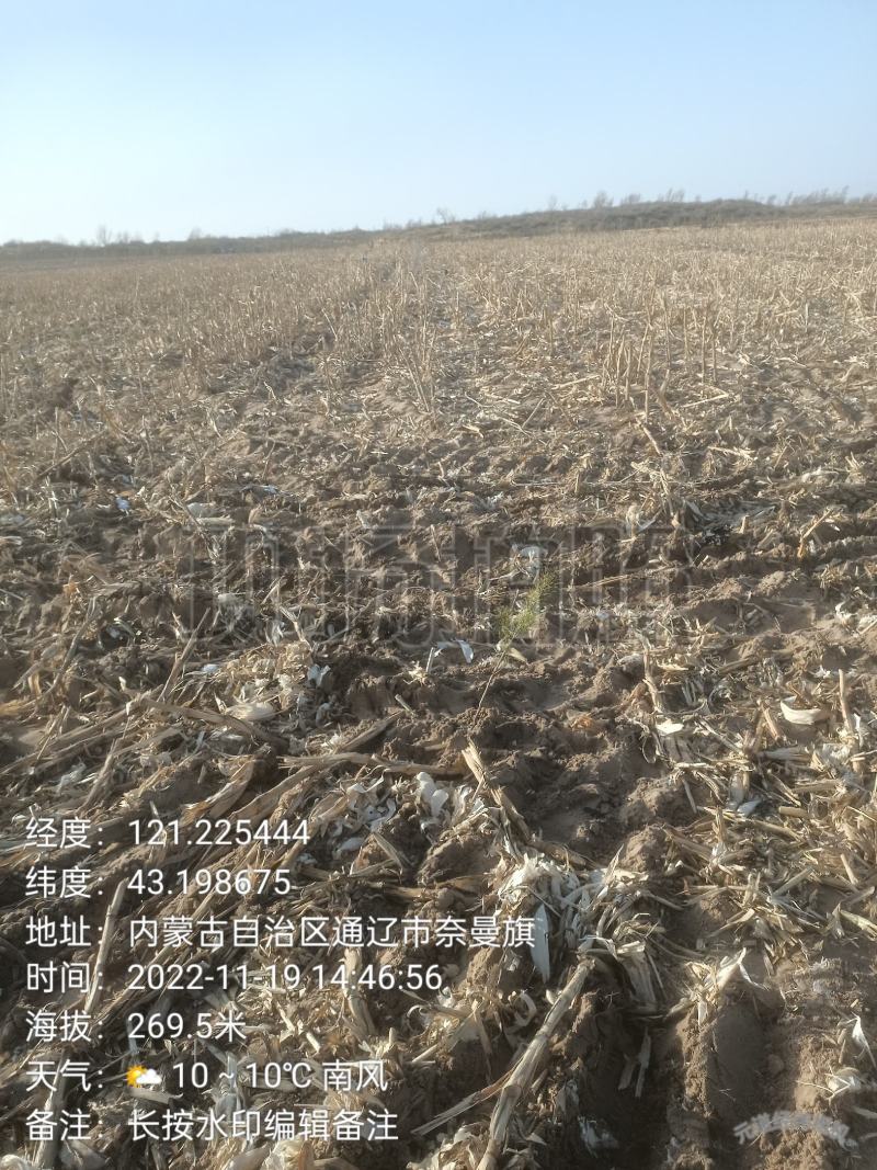 平整完沙地800亩;未平整完沙地800亩。对外承租。