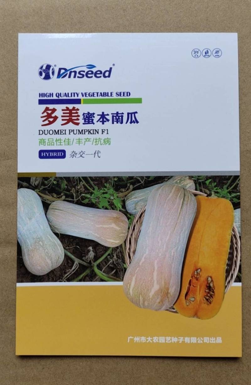 多美南瓜种子肉厚紧实心腔小好吃易种瓜重约3～5公斤