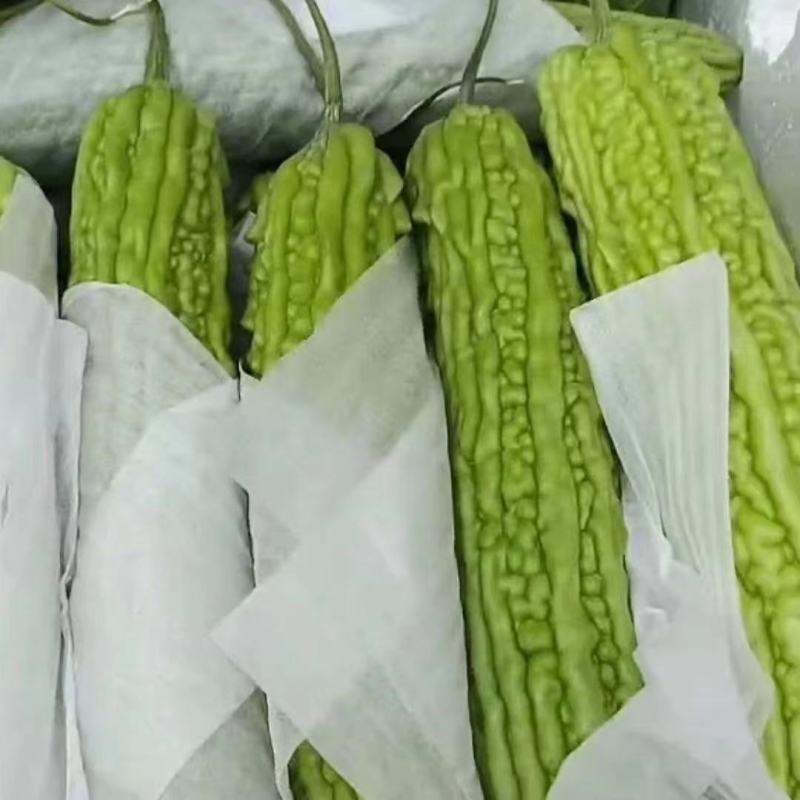 香菜