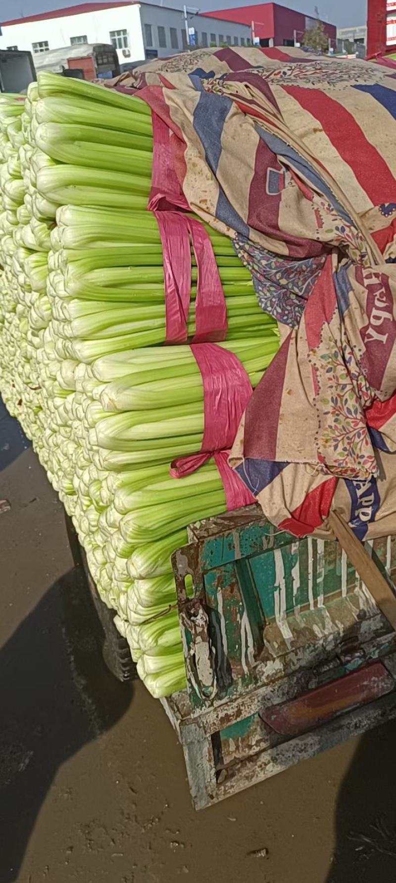 香菜