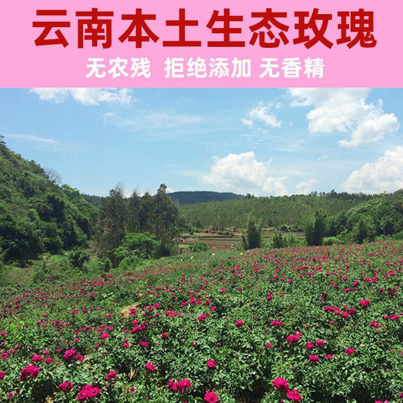 玫瑰花红茶凤合堂云南玫瑰花茶饼滇红茶花茶357g/饼
