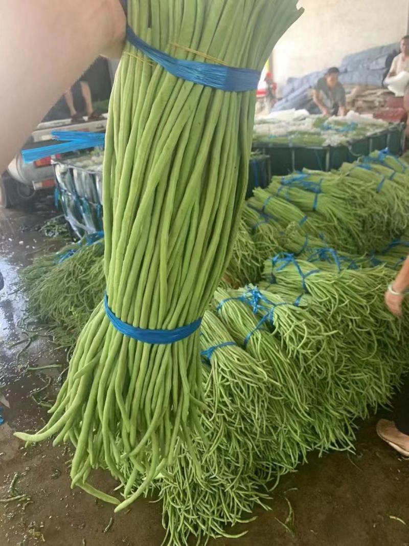 香菜