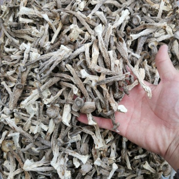 精中条鹿茸菇，干度足，颜色好，无碎，实物实拍，可视频看货