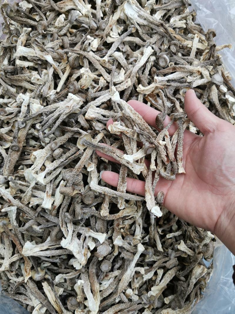 精中条鹿茸菇，干度足，颜色好，无碎，实物实拍，可视频看货