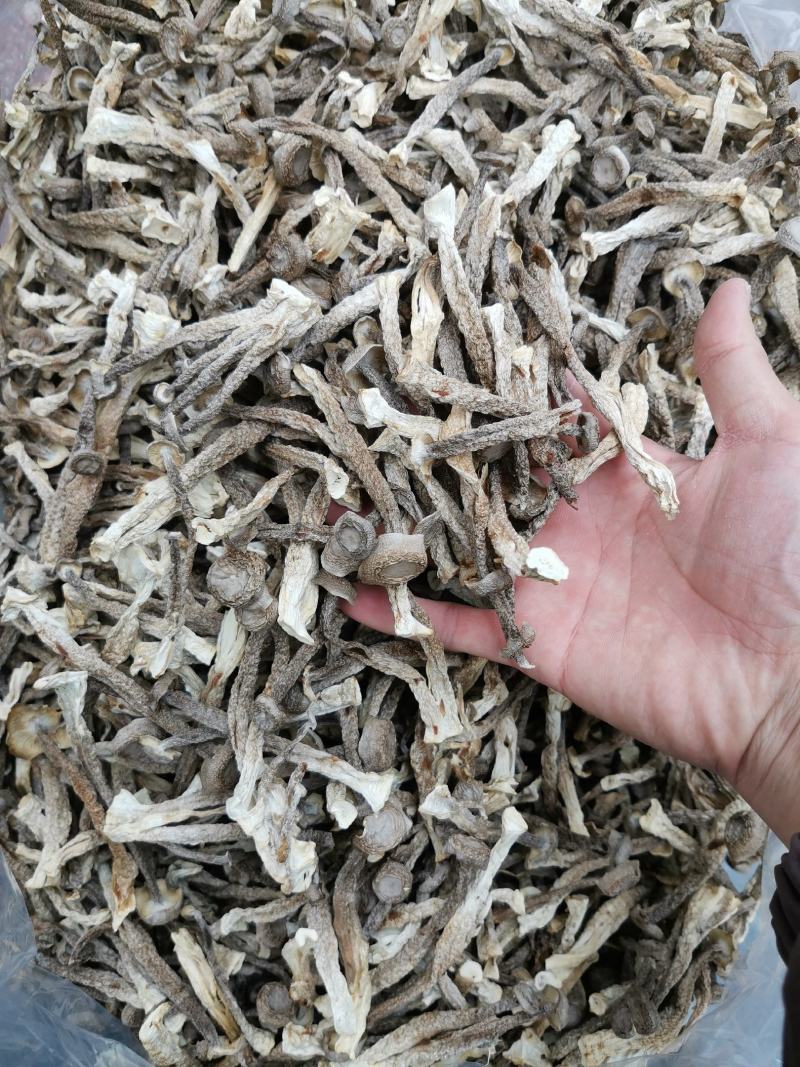 精中条鹿茸菇，干度足，颜色好，无碎，实物实拍，可视频看货