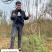 贵州六马蜂糖李苗原产地弄袍村原生苗一代嫁接苗
