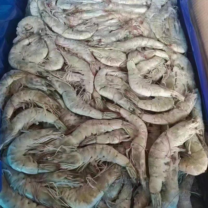 虾海虾30-4040-5050-60净重25斤